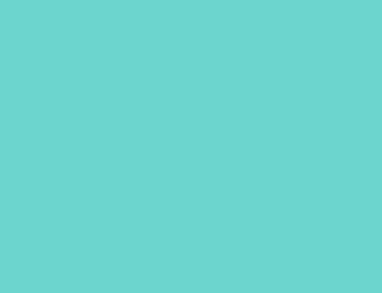 041 Turquoise